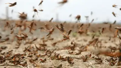 Zakon.kz, фото - Новости Zakon.kz от 14.07.2015 06:50