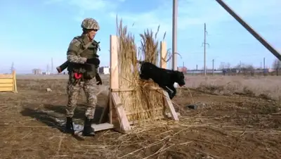 Zakon.kz, фото - Новости Zakon.kz от 20.01.2016 01:58