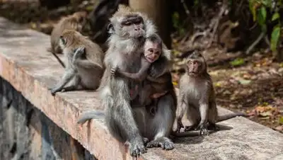 pixabay.com, фото - Новости Zakon.kz от 01.08.2021 10:30