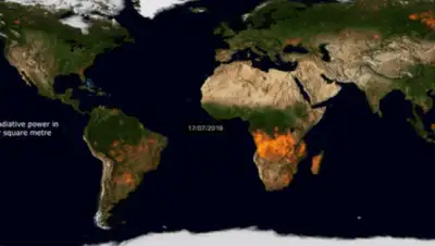 кадр из видео, фото - Новости Zakon.kz от 17.12.2019 07:27