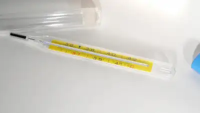 pxhere.com, фото - Новости Zakon.kz от 29.03.2020 22:07