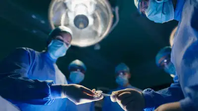 panorama.nl, фото - Новости Zakon.kz от 15.02.2020 00:00