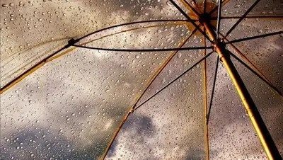 Невсеобои, фото - Новости Zakon.kz от 10.06.2018 09:32