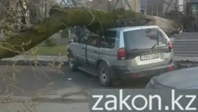 Zakon.kz, фото - Новости Zakon.kz от 16.03.2016 01:21