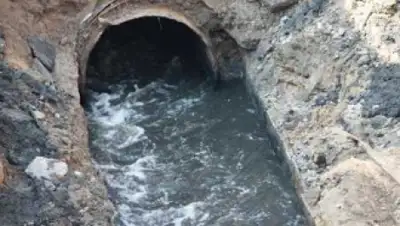 Zakon.kz, фото - Новости Zakon.kz от 28.11.2014 16:26