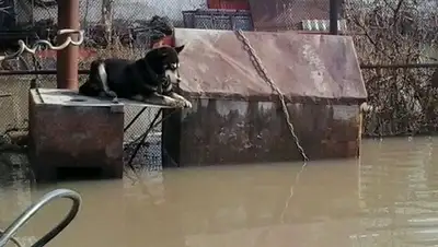 Zakon.kz, фото - Новости Zakon.kz от 08.04.2014 16:21