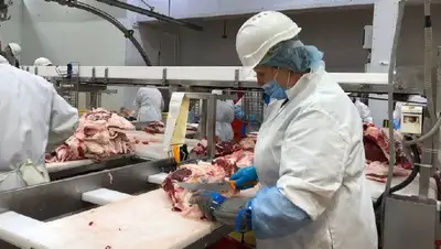 разделка, фото - Новости Zakon.kz от 13.09.2022 00:07