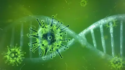 pixabay.com, фото - Новости Zakon.kz от 27.04.2020 12:21