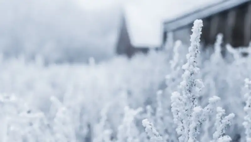 В среду на севере Казахстана ожидается снег