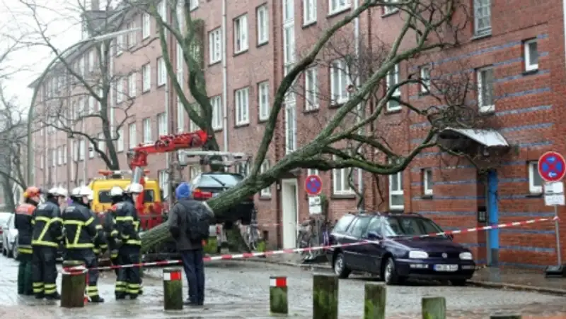 Девять человек погибли в результате урагана в Германии