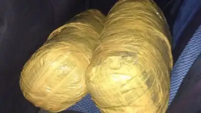 Zakon.kz, фото - Новости Zakon.kz от 09.06.2017 17:18