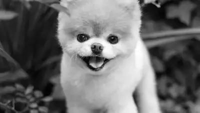 Facebook, фото - Новости Zakon.kz от 19.01.2019 18:24