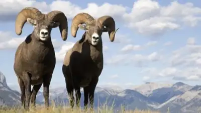 Zakon.kz, фото - Новости Zakon.kz от 09.12.2016 20:55