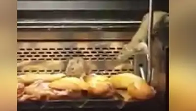 Zakon.kz, фото - Новости Zakon.kz от 11.12.2016 17:59