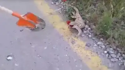 Zakon.kz, фото - Новости Zakon.kz от 07.06.2016 23:45