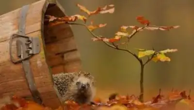 Хроника.инфо, фото - Новости Zakon.kz от 30.09.2018 09:25