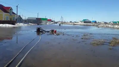 Zakon.kz, фото - Новости Zakon.kz от 07.04.2017 21:18