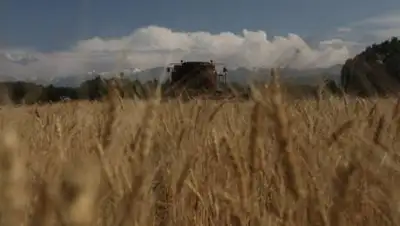 zakon.kz / Павел Михеев, фото - Новости Zakon.kz от 18.08.2021 10:17