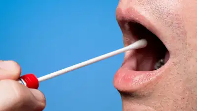 depositphotos.com, фото - Новости Zakon.kz от 08.06.2020 10:24