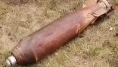 Кадр из видео, фото - Новости Zakon.kz от 19.06.2020 00:10