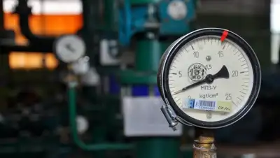 Zakon.kz, фото - Новости Zakon.kz от 11.08.2015 21:46