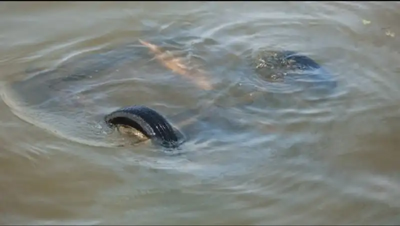 Машина упала в реку недалеко от Павлодара, мужчину унесло течением