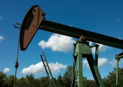 Эрдоган, месторождение нефти в Турии, 12 миллиардов долларов, фото - Новости Zakon.kz от 13.12.2022 03:32