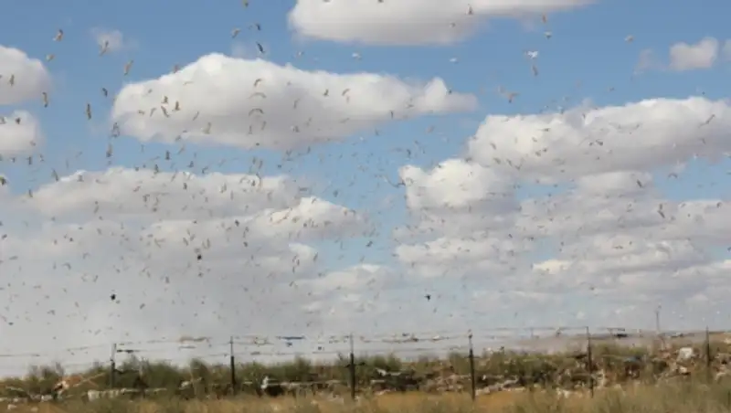 Мусорный полигон в Актобе оштрафовали после пожара