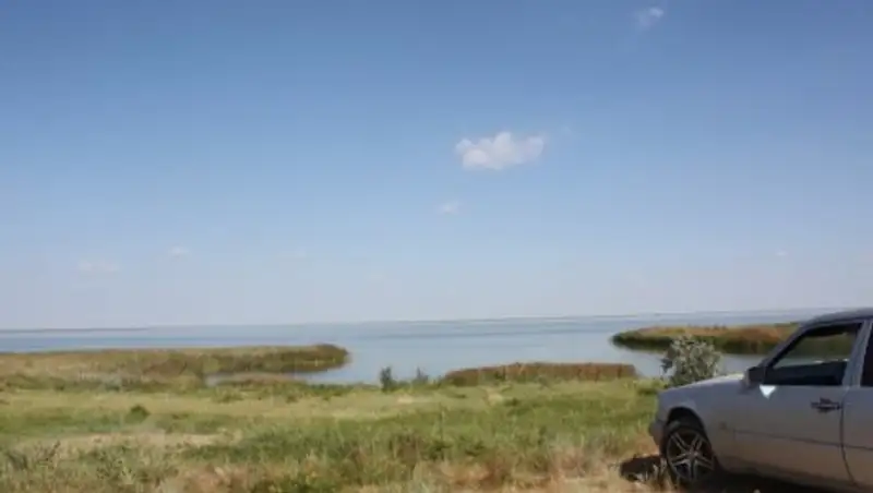 В Павлодаре на «ртутном» озере Былкылдак поселились лебеди