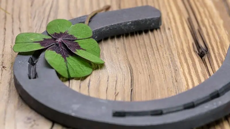 Любимчики удачи: кому из знаков зодиака повезет 19 марта