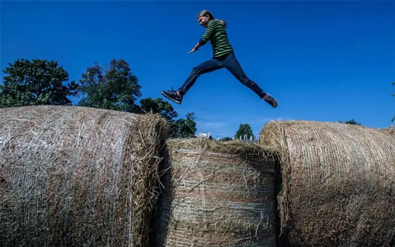 Урожай 2013, фото - Новости Zakon.kz от 07.11.2013 19:46