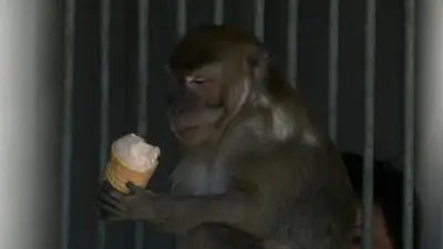 животное, фото - Новости Zakon.kz от 07.06.2023 22:16