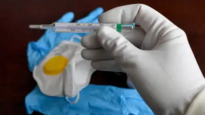 Pixabay, фото - Новости Zakon.kz от 04.06.2020 21:33