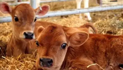 Zakon.kz, фото - Новости Zakon.kz от 14.11.2016 18:23