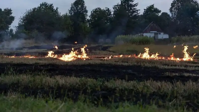 В Улытауской области горит 2 тыс. гектаров травы