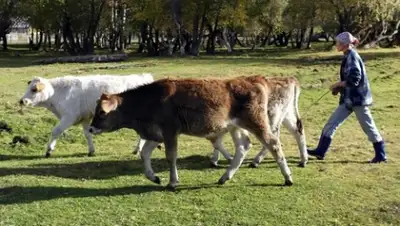 Zakon.kz, фото - Новости Zakon.kz от 29.05.2015 00:40