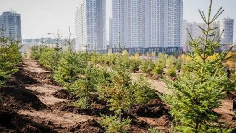 В Нур-Султане мест для отдыха и зеленых массивов станет еще больше – Алтай Кульгинов
