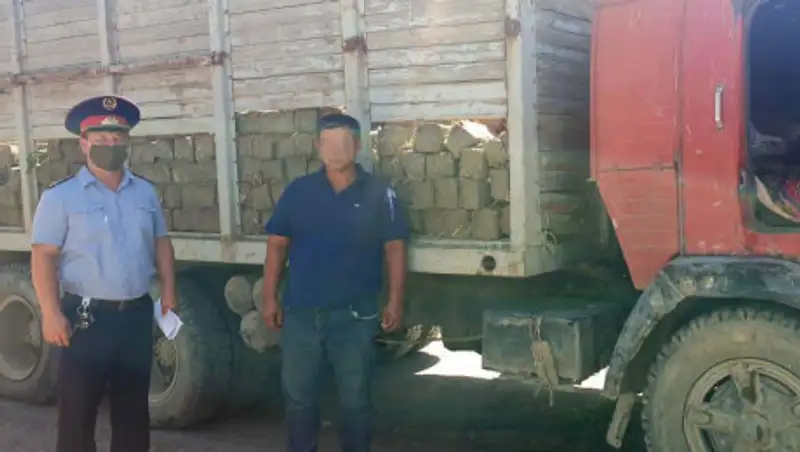 Два грузовика, груженные дерном, изъяли в Туркестанской области