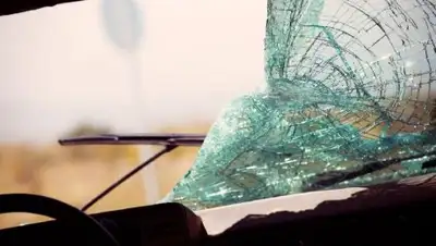 Zakon.kz, фото - Новости Zakon.kz от 12.07.2017 22:10