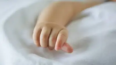 liter.kz, фото - Новости Zakon.kz от 15.12.2020 11:47