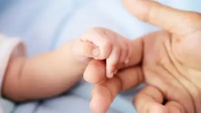 Zakon.kz, фото - Новости Zakon.kz от 05.12.2016 17:45