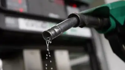 Zakon.kz, фото - Новости Zakon.kz от 16.10.2017 17:45