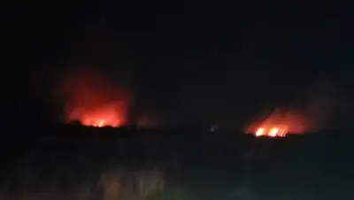 Zakon.kz, фото - Новости Zakon.kz от 25.06.2015 19:12