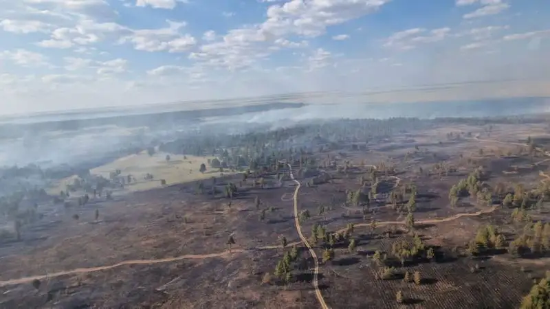 Пожар в Абайской области локализован, фото - Новости Zakon.kz от 15.07.2023 20:19
