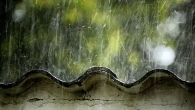 Zakon.kz, фото - Новости Zakon.kz от 23.08.2015 13:32