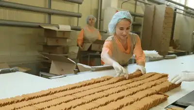 Разработан комплексный план новой политики рынка труда, фото - Новости Zakon.kz от 12.08.2022 11:48