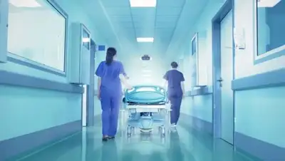 Фишки.нет, фото - Новости Zakon.kz от 19.03.2018 13:13