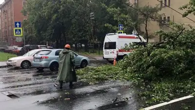 Zakon.kz, фото - Новости Zakon.kz от 07.07.2016 05:04