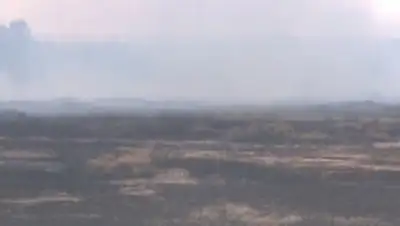 Zakon.kz, фото - Новости Zakon.kz от 18.08.2015 22:41