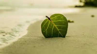 Pixabay, фото - Новости Zakon.kz от 10.11.2020 00:58